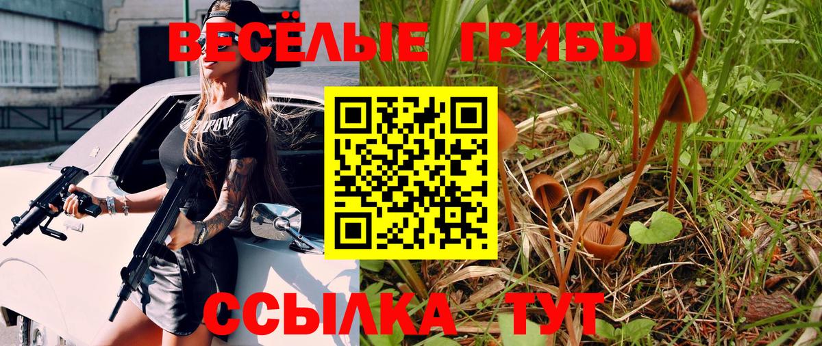 Псилоцибиновые грибы Cubensis Обнинск