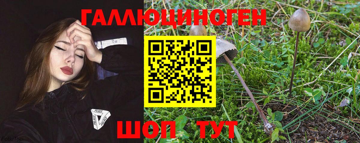 Обнинск  Псилоцибиновые грибы ЛСД  наркота  Вход с VPN  Псилоцибиновые грибы Magic Shrooms 